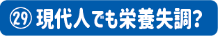 第29号