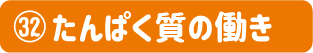 第32号